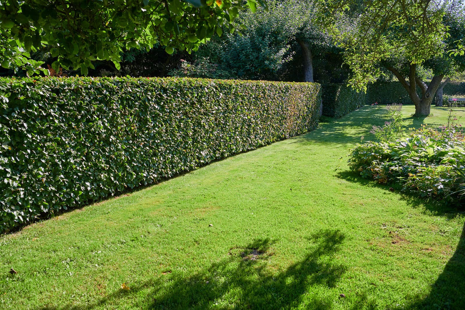 Tuinonderhoud