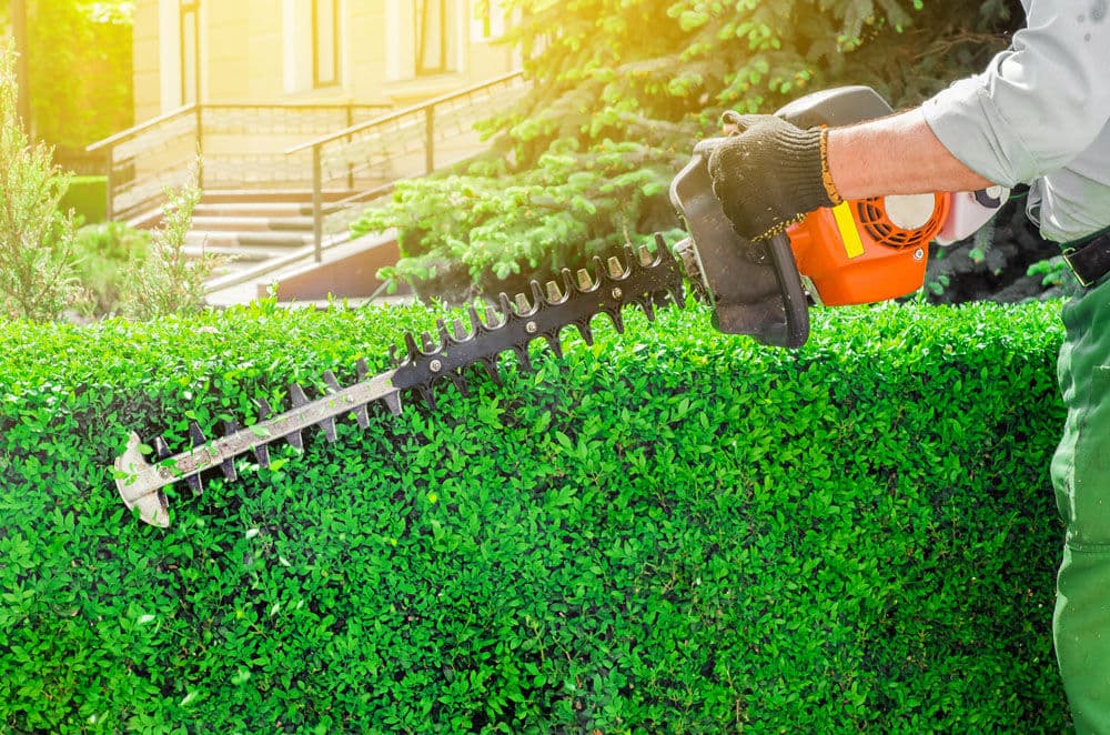 Realisatie Tuinonderhoud Diest 4
