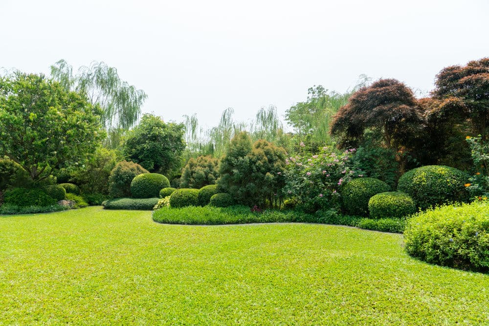 Tuinonderhoud Diest