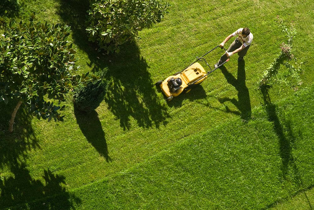 Tuinonderhoud realisatie